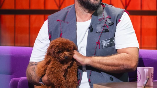 La inesperada visita de Lulu, la perrita de Antonio Orozco, en pleno plató de 'Cara al Show' La inesperada visita de Lulu, la perrita de Antonio Orozco, en pleno plató de 'Cara al Show'