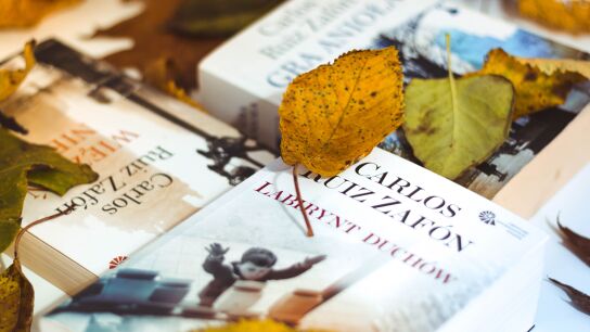 Ejemplares de bolsillo de Carlos Ruiz Zaf&oacute;n