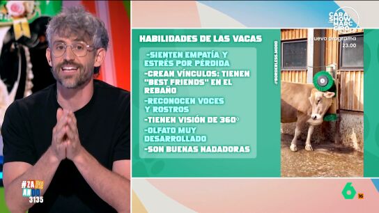 Aprovechando que esta semana se celebraba el concurso 'Miss Vaca' en la televisi&oacute;n gallega, V&iacute;ctor Algra nos cuenta m&aacute;s de estos animales, como tienen "mejores amigas" en el reba&ntilde;o o que son capaces de reconocer rostros y voces de personas.