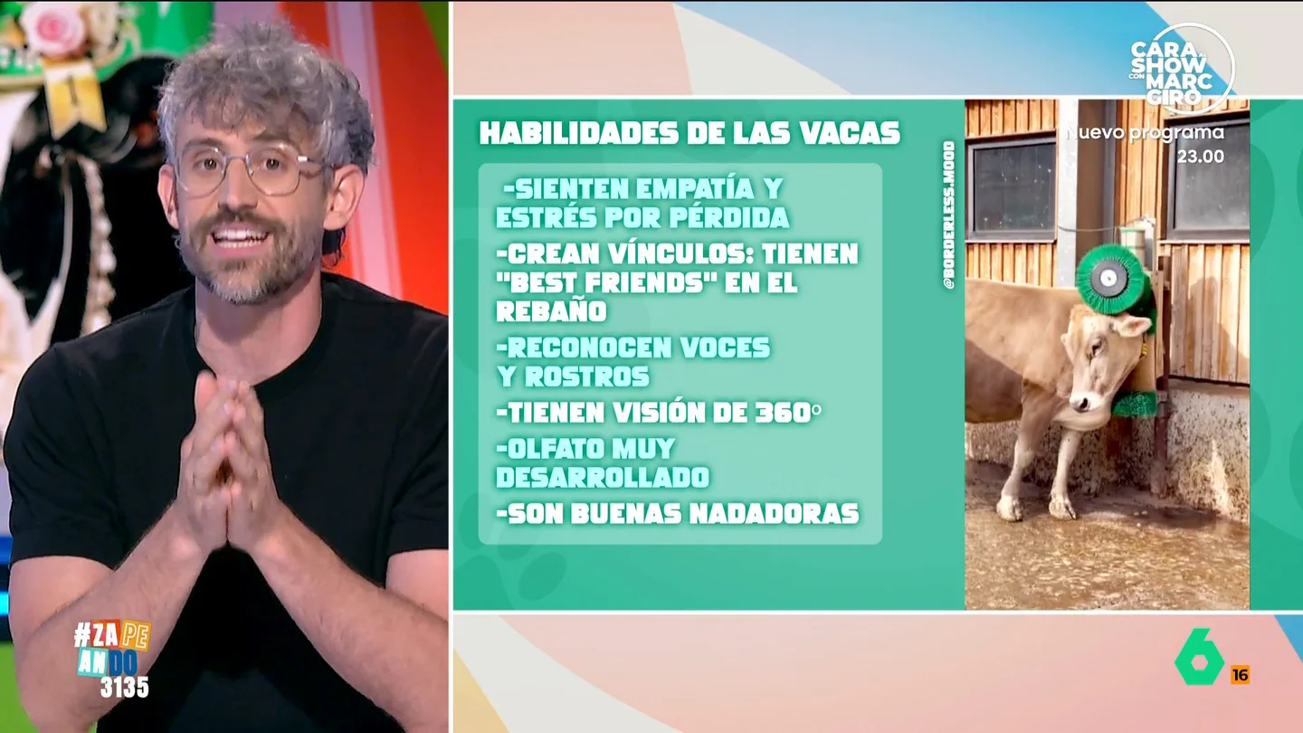 Víctor Algra desvela los secretos de las vacas: "Son más sofisticadas emocionalmente de lo que pensamos" Aprovechando que esta semana se celebraba el concurso 'Miss Vaca' en la televisión gallega, Víctor Algra nos cuenta más de estos animales, como tienen "mejores amigas" en el rebaño o que son capaces de reconocer rostros y voces de personas.