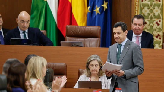 Juanma Moreno en la segunda jornada del pleno de investidura en el Parlamento de Andalucía Juanma Moreno en la segunda jornada del pleno de investidura en el Parlamento de Andalucía
