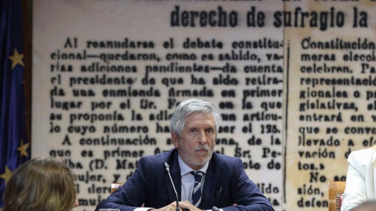 El ministro del Interior, Fernando Grande-Marlaska