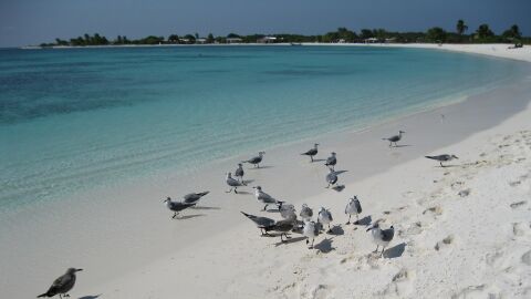 Los Roques
