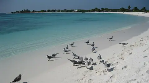 Los Roques Los Roques