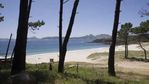 Playa de Melide