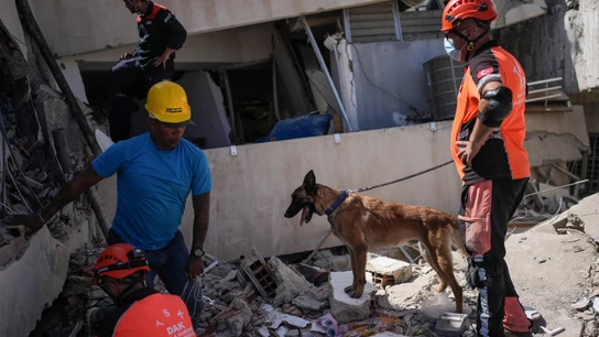 Un rescatista de Turquía se encuentra junto a un perro de búsqueda frente a un edificio donde buscan supervivientes de un terremoto en La Guaira, Venezuela. Un rescatista de Turquía se encuentra junto a un perro de búsqueda frente a un edificio donde buscan supervivientes de un terremoto en La Guaira, Venezuela.