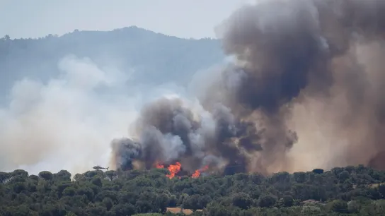 Columna de humo del incendio forestal que se ha declarado en La Bisbal d'Empordà (Girona) Columna de humo del incendio forestal que se ha declarado en La Bisbal d'Empordà (Girona)