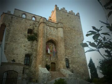 Castillo Manzaneque 