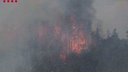 Incendio en La Bisbal d'Empord&agrave; (Girona)