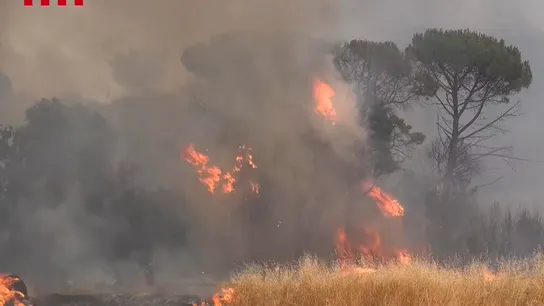Captura de un video de Bombers Cataluña, de agentes trabajando en la zona del Baix Empordà este fin de semana Captura de un video de Bombers Cataluña, de agentes trabajando en la zona del Baix Empordà este fin de semana