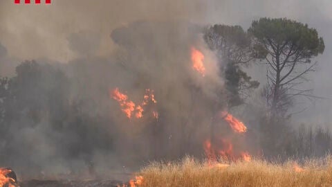 Captura de un video de Bombers Catalu&ntilde;a, de agentes trabajando en la zona del Baix Empord&agrave; este fin de semana