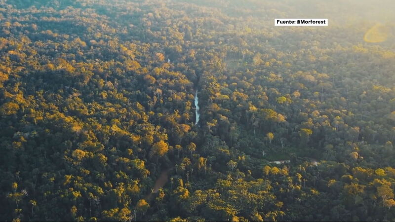 Una IA verde: varias empresas trabajan para conseguir que los drones aceleren la reforestación Una IA verde: varias empresas trabajan para conseguir que los drones aceleren la reforestación