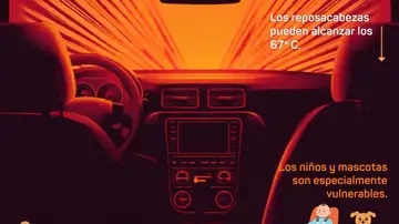 Infografía Vehículo Expuesto al Sol Infografía Vehículo Expuesto al Sol