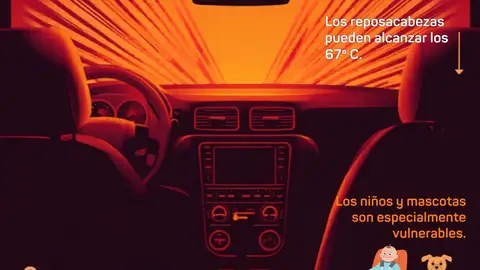Infografía Vehículo Expuesto al Sol Infografía Vehículo Expuesto al Sol