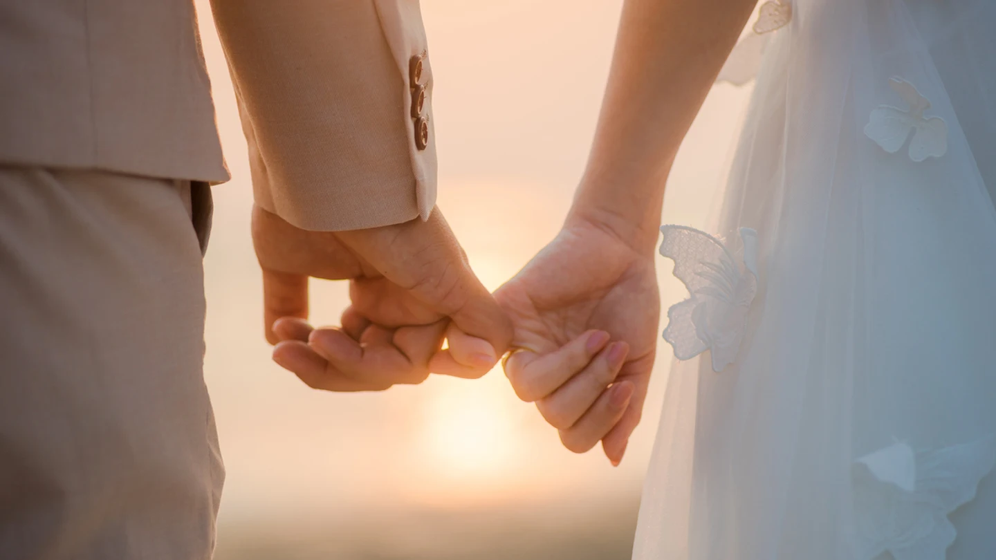 novios y boda novios y boda