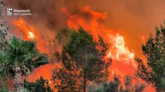 Incendio en Soneja (Castellón), el 5 de julio de 2026 Incendio en Soneja (Castellón), el 5 de julio de 2026