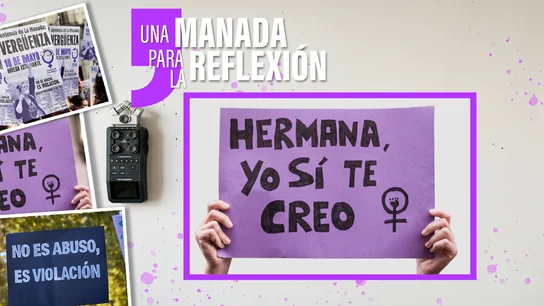 Una manada para la reflexión Una manada para la reflexión