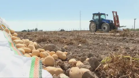 Imagen de un saco de patatas Imagen de un saco de patatas