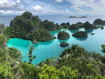 Raja Ampat, Indonesia Raja Ampat, Indonesia