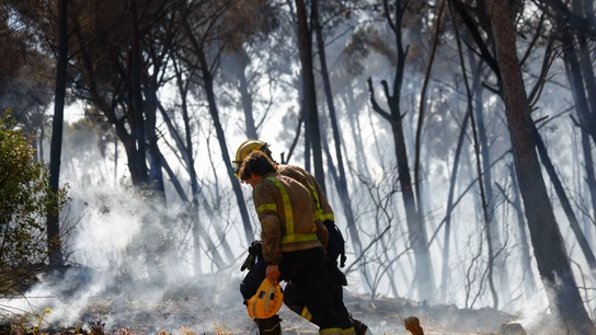 Bomberos actúan ante el incendio originado este miércoles en Gavà (Barcelona), que mantiene a 6.000 personas confinadas, ya afecta una superficie aproximada 7 hectáreas, mayoritariamente forestales, según datos de los Agentes Rurales. Bomberos actúan ante el incendio originado este miércoles en Gavà (Barcelona), que mantiene a 6.000 personas confinadas, ya afecta una superficie aproximada 7 hectáreas, mayoritariamente forestales, según datos de los Agentes Rurales.