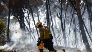 Bomberos act&uacute;an ante el incendio originado este mi&eacute;rcoles en Gav&agrave; (Barcelona), que mantiene a 6.000 personas confinadas, ya afecta una superficie aproximada 7 hect&aacute;reas, mayoritariamente forestales, seg&uacute;n datos de los Agentes Rurales.