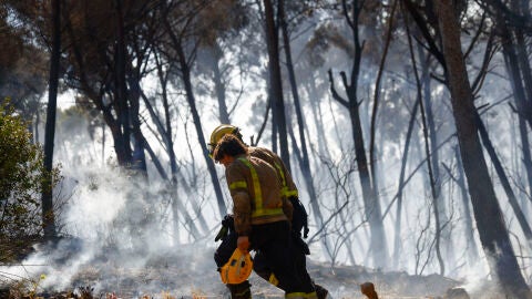 Bomberos act&uacute;an ante el incendio originado este mi&eacute;rcoles en Gav&agrave; (Barcelona), que mantiene a 6.000 personas confinadas, ya afecta una superficie aproximada 7 hect&aacute;reas, mayoritariamente forestales, seg&uacute;n datos de los Agentes Rurales.