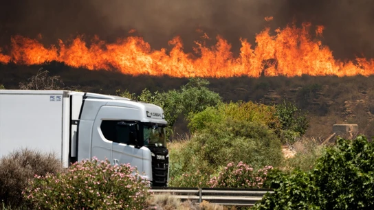 Incendio en Los Gallardos. Incendio en Los Gallardos.
