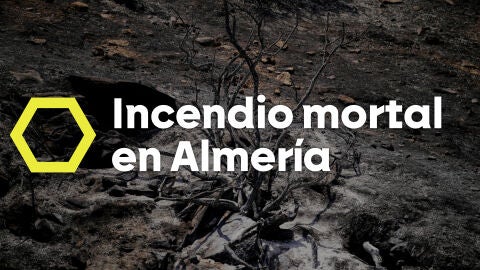 Incendio en Almer&iacute;a. 