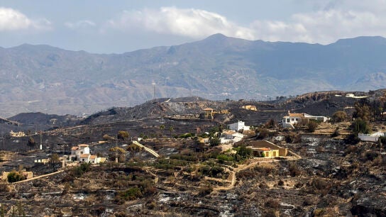 Vista de los da&ntilde;os causados por el incendio declarado en Los Gallardos en B&eacute;dar (Almer&iacute;a)