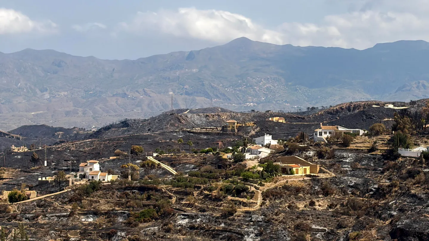Vista de los daños causados por el incendio declarado en Los Gallardos en Bédar (Almería) Vista de los daños causados por el incendio declarado en Los Gallardos en Bédar (Almería)