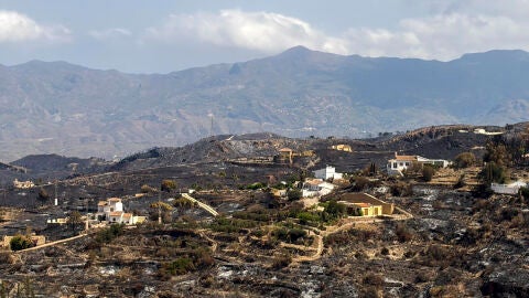Vista de los da&ntilde;os causados por el incendio declarado en Los Gallardos en B&eacute;dar (Almer&iacute;a)