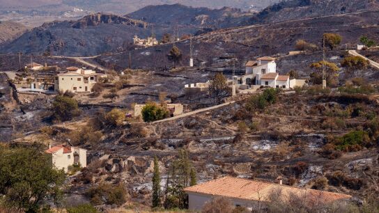 Zona afectada por el incendio de Los Gallardos, Almer&iacute;a
