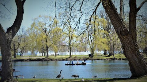Toronto Islands