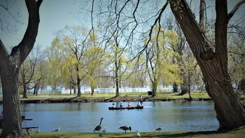 Toronto Islands Toronto Islands