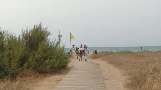 Playas sin humos