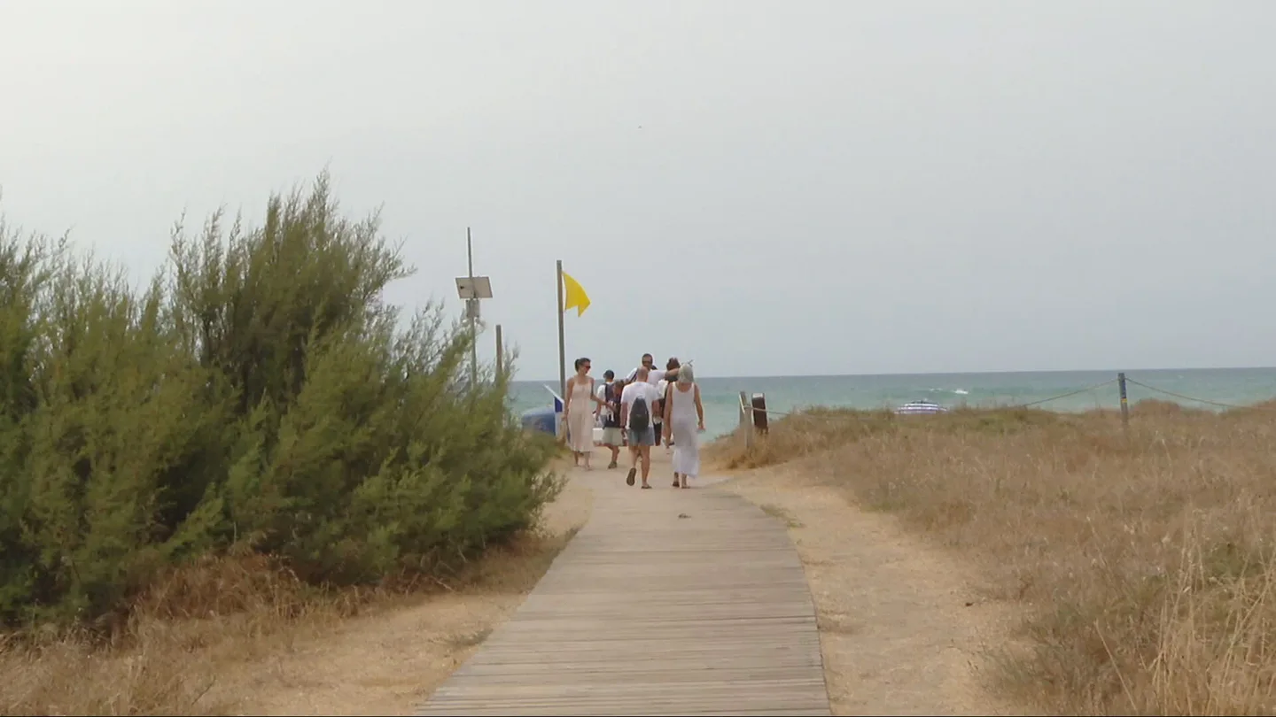 Playas sin humos Playas sin humos