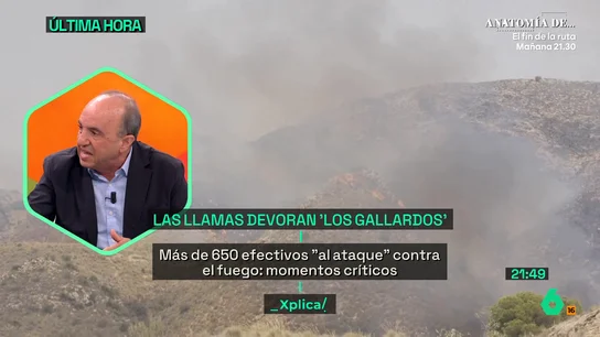 El divulgador José Luis Gallego advierte: "Lo que antes eran gotas frías ahora serán DANAs y lo que antes eran incendios ahora serán megaincendios" El divulgador José Luis Gallego advierte: "Lo que antes eran gotas frías ahora serán DANAs y lo que antes eran incendios ahora serán megaincendios"