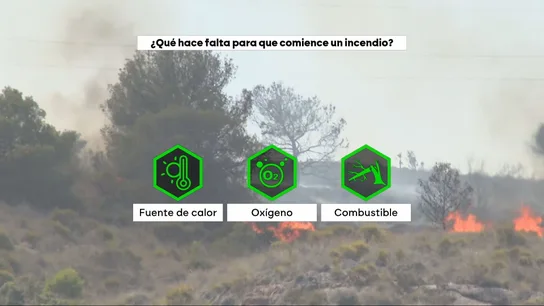 Las claves de lo ocurrido en el incendio de Los Gallardos: un "problema de gestión" que ya se avisó Las claves de lo ocurrido en el incendio de Los Gallardos: un "problema de gestión" que ya se avisó