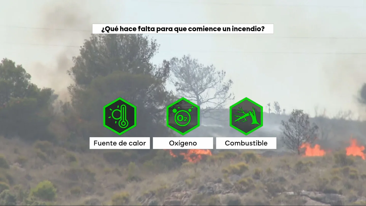 Las claves de lo ocurrido en el incendio de Los Gallardos: un "problema de gestión" que ya se avisó Las claves de lo ocurrido en el incendio de Los Gallardos: un "problema de gestión" que ya se avisó