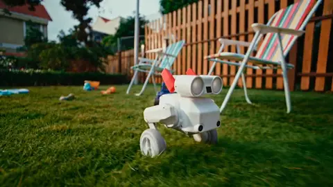 El robot Beni beni