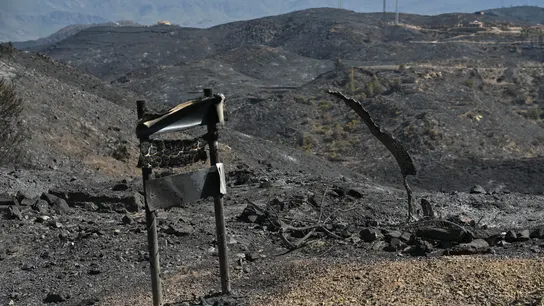 Controlado el incendio de Los Gallardos: ya es el más letal del siglo en España con 13 muertos, diez desaparecidos y 7.000 hectáreas calcinadas Controlado el incendio de Los Gallardos: ya es el más letal del siglo en España con 13 muertos, diez desaparecidos y 7.000 hectáreas calcinadas
