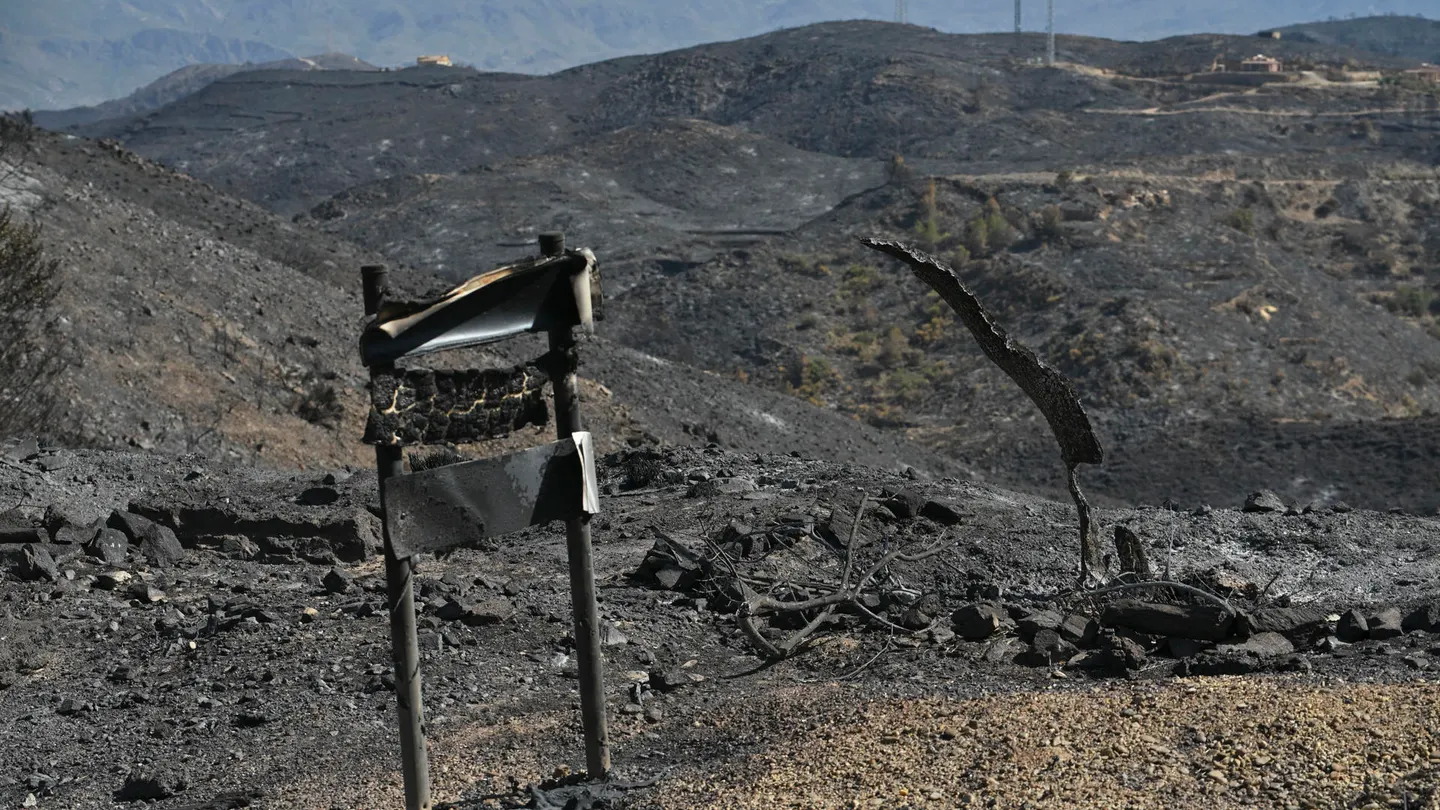 Controlado el incendio de Los Gallardos: ya es el más letal del siglo en España con 13 muertos, diez desaparecidos y 7.000 hectáreas calcinadas Controlado el incendio de Los Gallardos: ya es el más letal del siglo en España con 13 muertos, diez desaparecidos y 7.000 hectáreas calcinadas