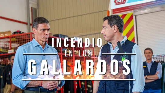 Qué se decidió, cómo y quién: respuestas a las dudas sobre los avisos en el incendio de Los Gallardos (Almería) Qué se decidió, cómo y quién: respuestas a las dudas sobre los avisos en el incendio de Los Gallardos (Almería)