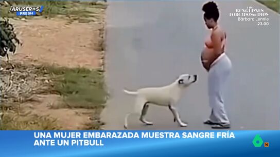 La sangre fr&iacute;a de una mujer embarazada al plantarle cara a un pitbull que la quiere atacar