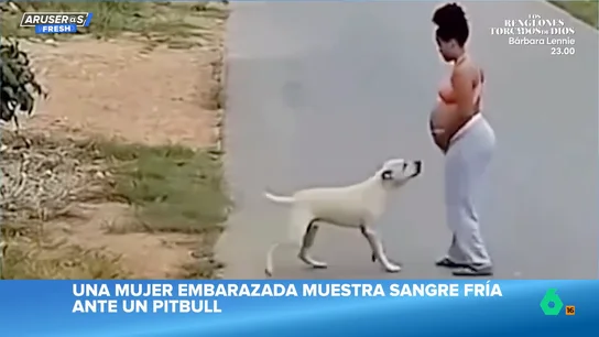 La sangre fría de una mujer embarazada al plantarle cara a un pitbull que la quiere atacar La sangre fría de una mujer embarazada al plantarle cara a un pitbull que la quiere atacar