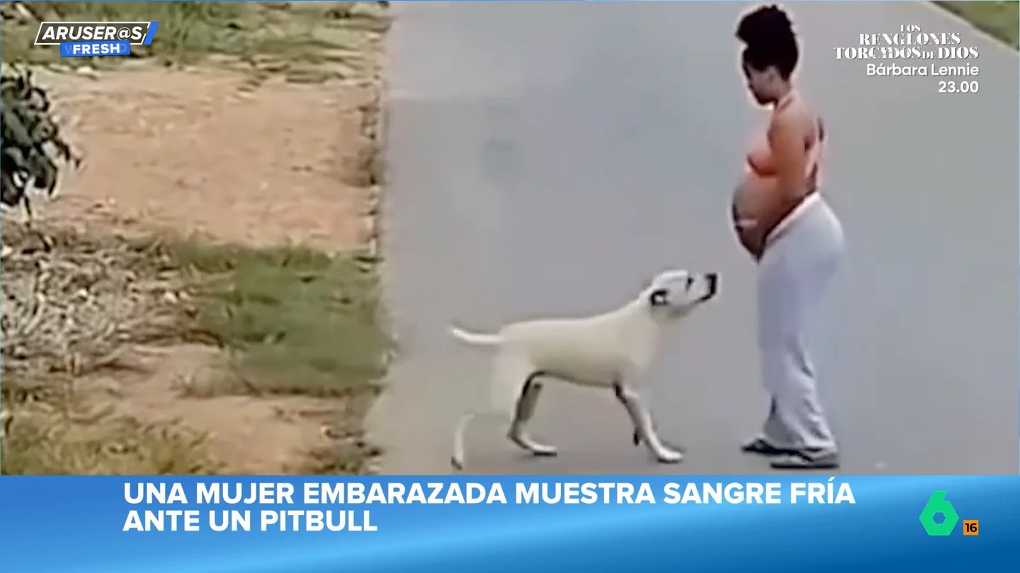 La sangre fría de una mujer embarazada al plantarle cara a un pitbull que la quiere atacar La sangre fría de una mujer embarazada al plantarle cara a un pitbull que la quiere atacar