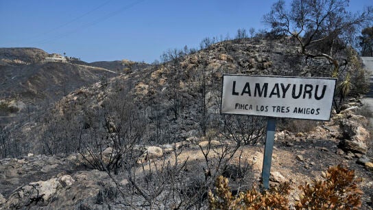 Carretera de acceso al municipio almeriense de B&eacute;dar tras declararse el incendio en Fase 0