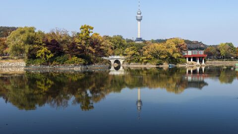 Daegu