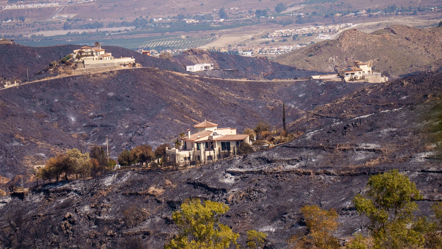 Bédar, después del incendio de Los Gallardos (Almería), que ha dejado al menos 13 muertos Bédar, después del incendio de Los Gallardos (Almería), que ha dejado al menos 13 muertos