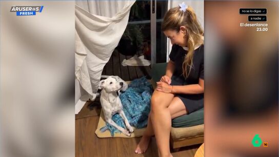 El v&iacute;deo viral que demuestra el incre&iacute;ble v&iacute;nculo entre un perro y su due&ntilde;a sorda